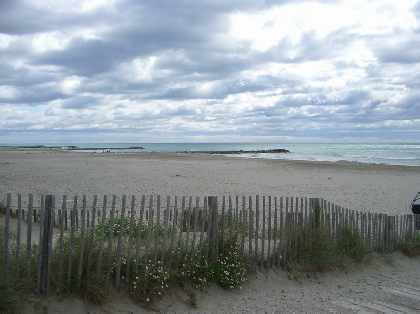 Along the beach